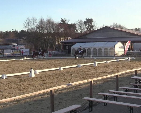 Reitturnier Schloß Holte 2018