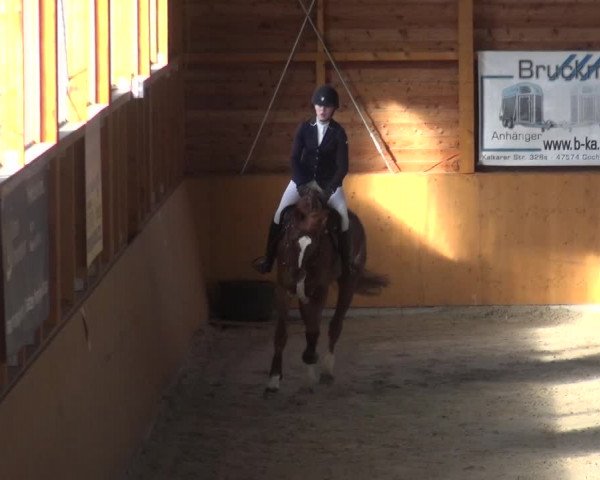 Reitturnier Xanten 2018