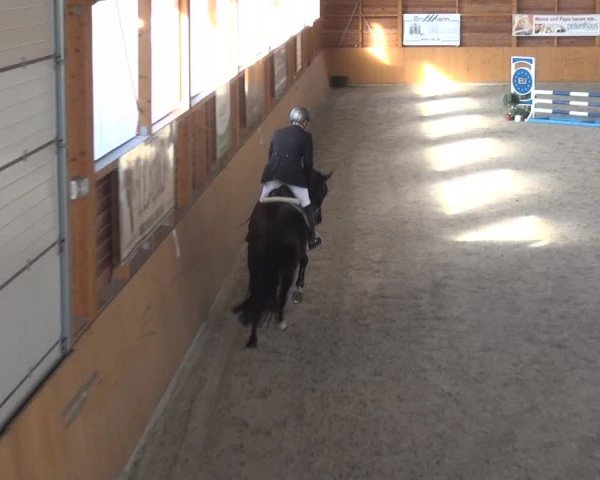 Reitturnier Xanten 2018