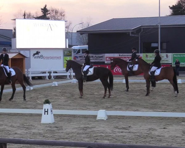 Reitturnier Schloß Holte 2018