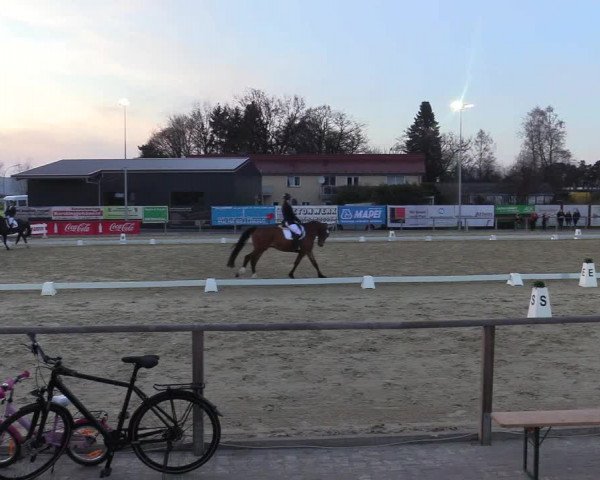 Reitturnier Schloß Holte 2018