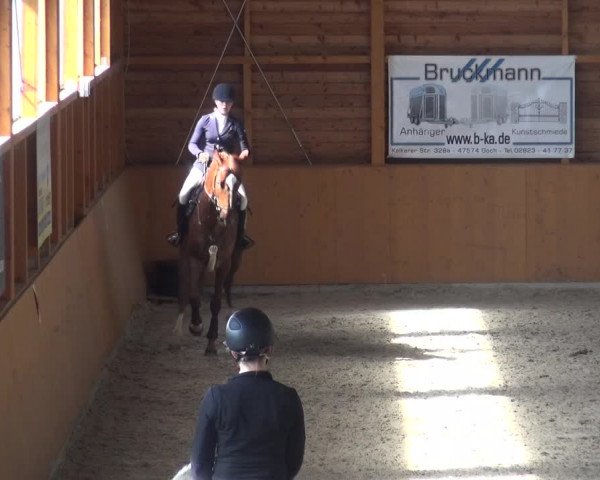 Reitturnier Xanten 2018