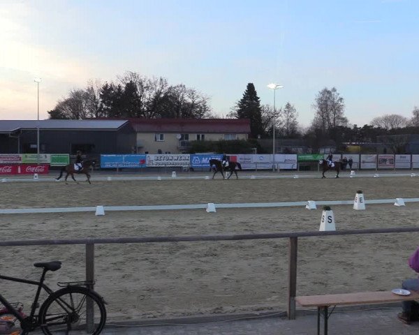 Reitturnier Schloß Holte 2018
