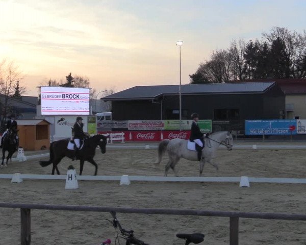 Reitturnier Schloß Holte 2018