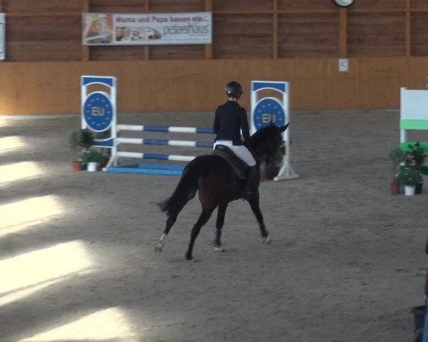 Reitturnier Xanten 2018