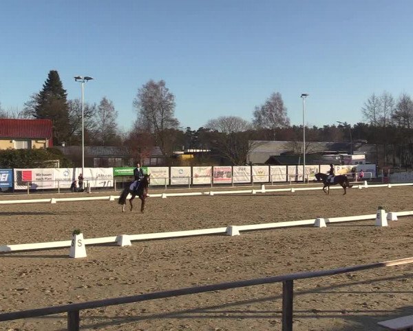 Reitturnier Schloß Holte 2018