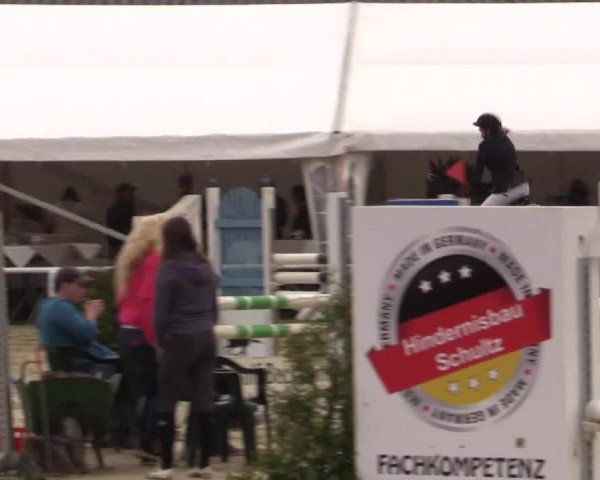 Reitturnier Bottrop 2018