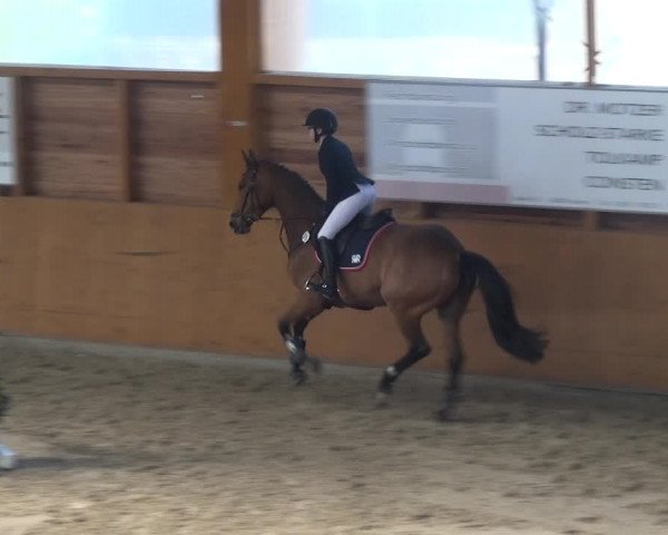 Reitturnier Xanten 2018