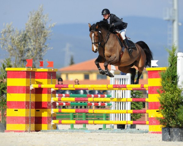 broodmare Platine du Rouet (Selle Français, 2003, from Robin II Z)