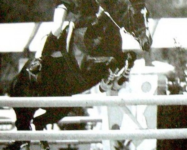 broodmare Rose Marie (Selle Français, 1983, from Double Espoir)