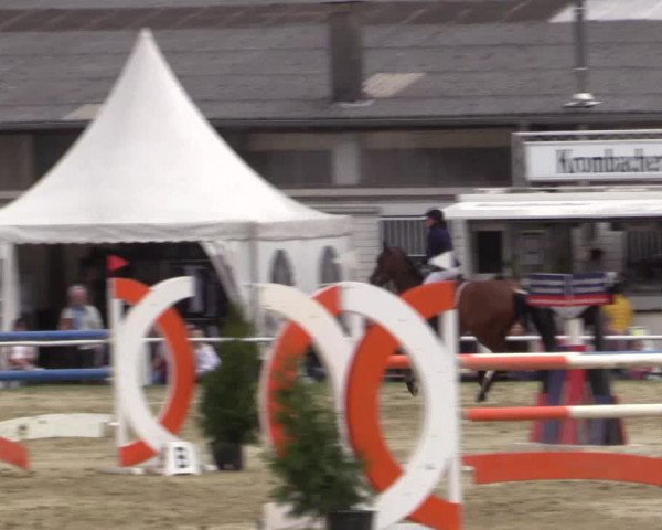 Reitturnier Bottrop 2018