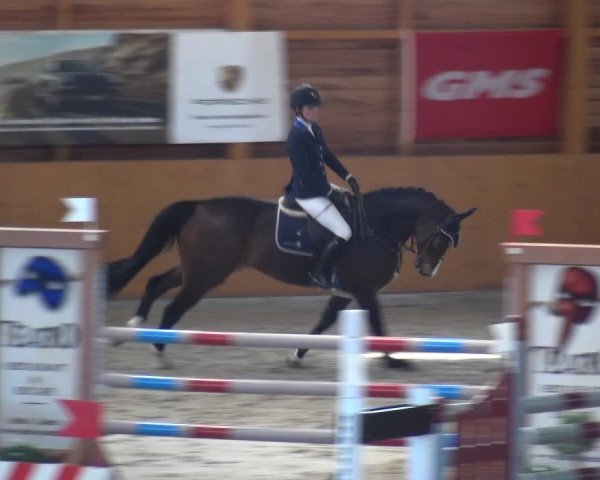Reitturnier Xanten 2018