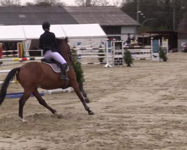 Reitturnier Bottrop 2018