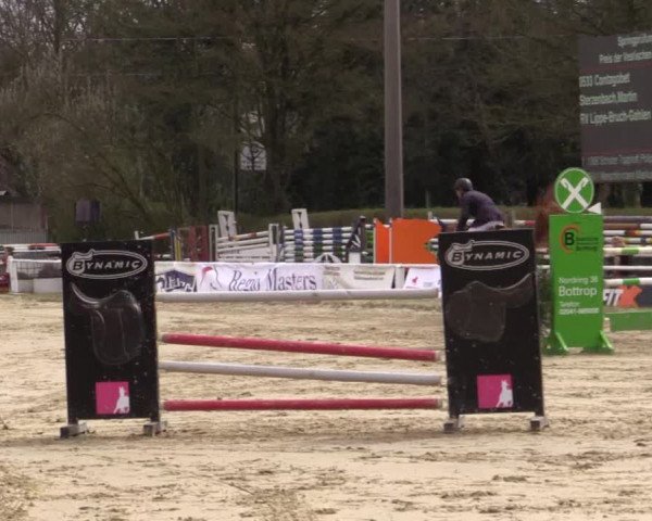 Reitturnier Bottrop 2018