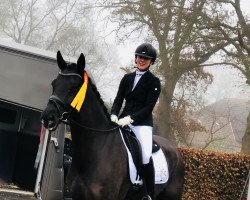 Dressurpferd Sanny Hill (KWPN (Niederländisches Warmblut), 2012, von San Amour I)