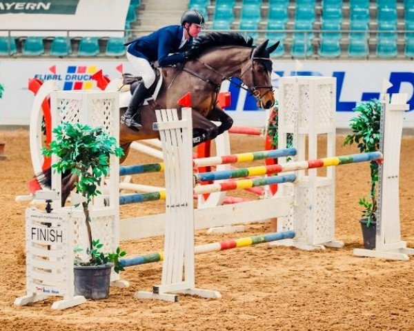 jumper Acarello B (Bavarian, 2011, from Acasino B)