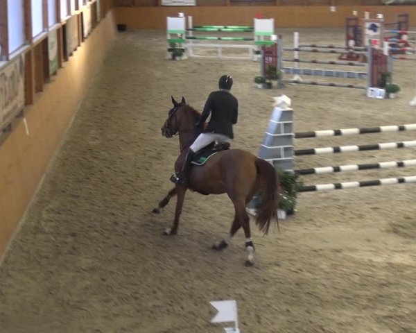 Reitturnier Xanten 2018