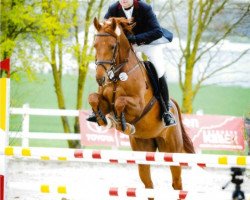 jumper Rosemount Quince (Oldenburg, 2011, from Quando-Quando)