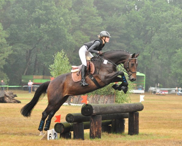 jumper Carletta (Brandenburg, 2006, from Consul)
