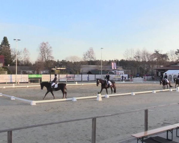 Reitturnier Schloß Holte 2018