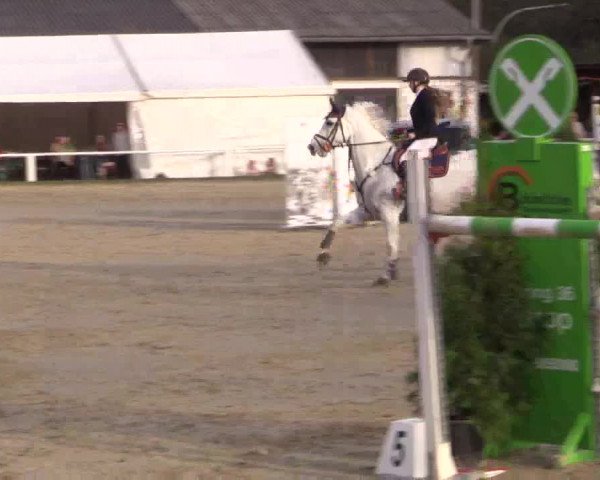 Reitturnier Bottrop 2018