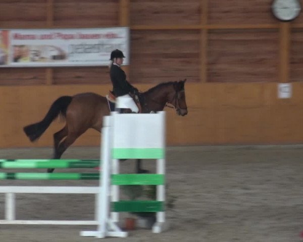 Reitturnier Xanten 2018