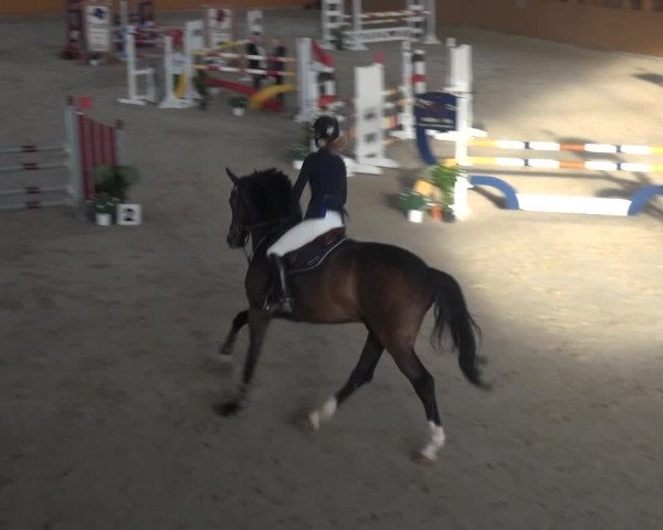 Reitturnier Xanten 2018