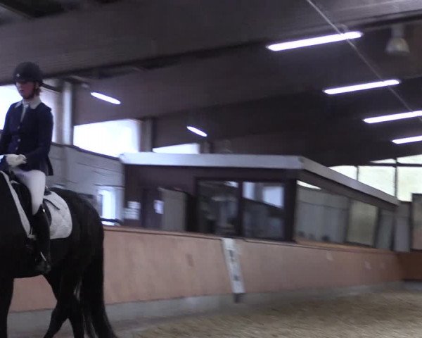 Reitturnier Bottrop 2018