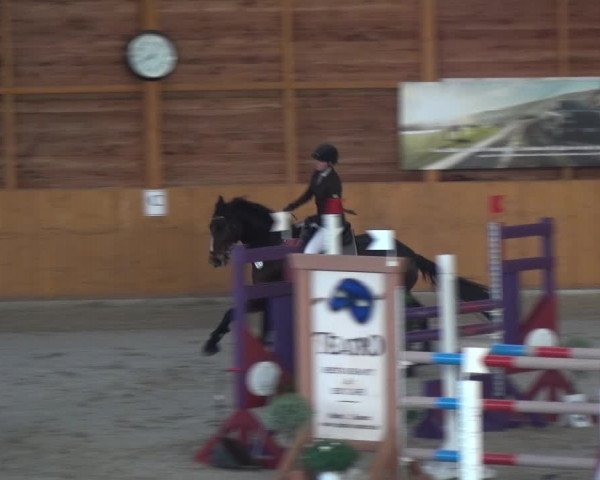 Reitturnier Xanten 2018