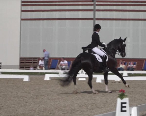 Reitturnier Zweibrücken 2018