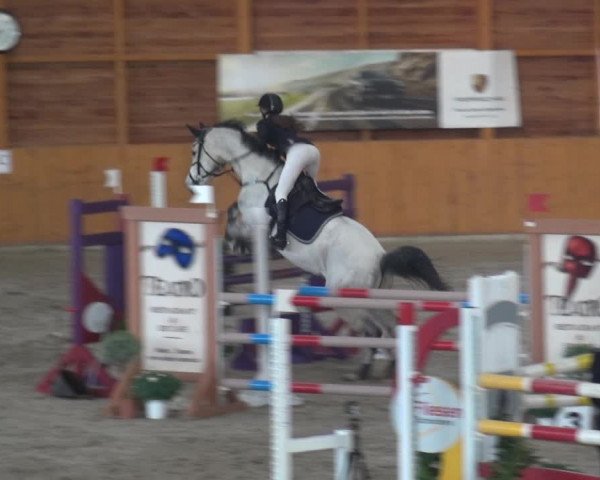 Reitturnier Xanten 2018