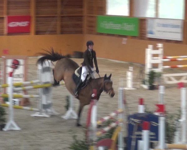 Reitturnier Xanten 2018
