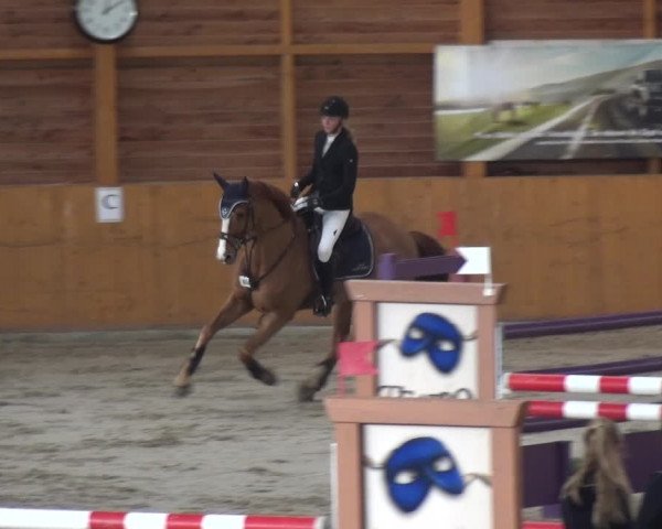 Reitturnier Xanten 2018