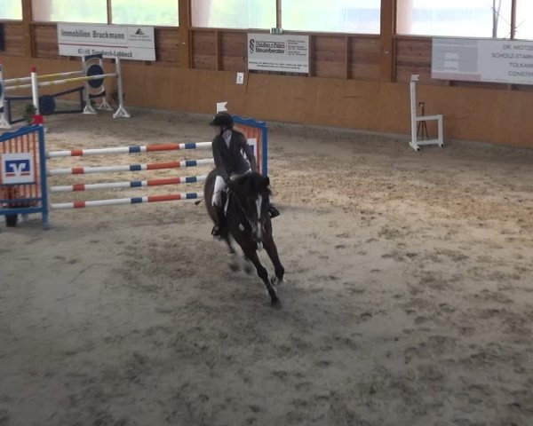 Reitturnier Xanten 2018