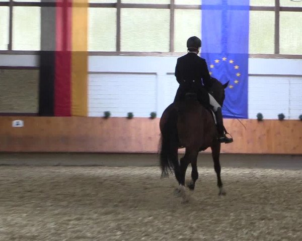 Reitturnier Bottrop 2018