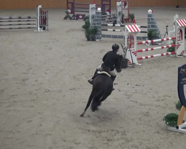 Reitturnier Xanten 2018