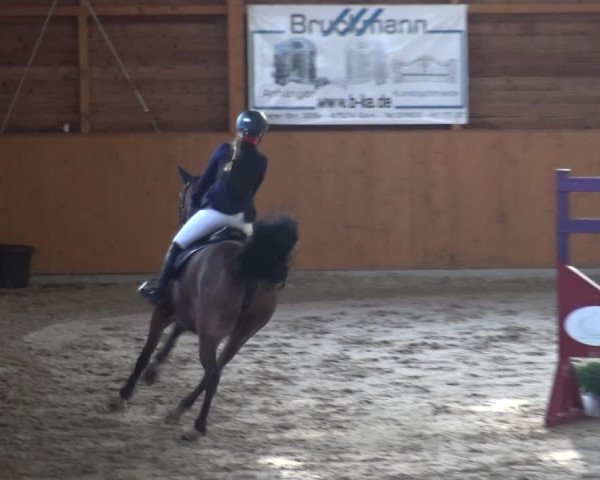 Reitturnier Xanten 2018