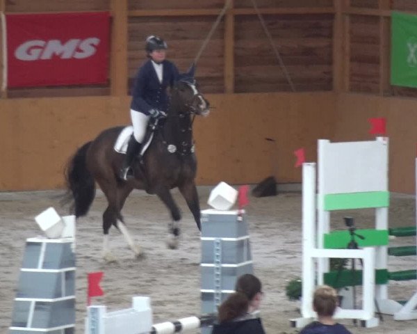 Reitturnier Xanten 2018