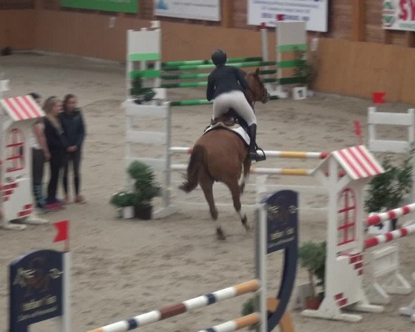 Reitturnier Xanten 2018