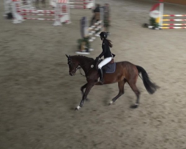 Reitturnier Xanten 2018
