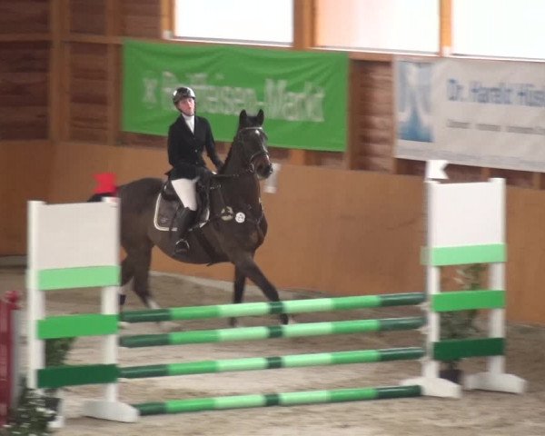 Reitturnier Xanten 2018