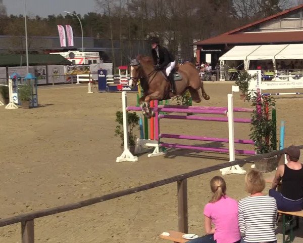 Reitturnier Schloß Holte 2018