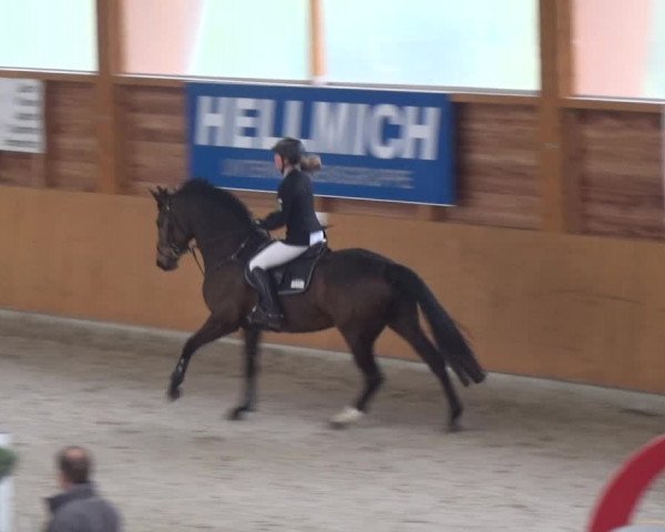 Reitturnier Xanten 2018