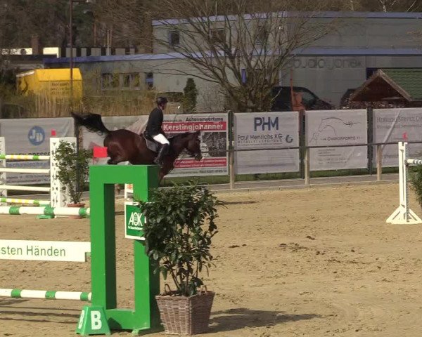 Reitturnier Schloß Holte 2018