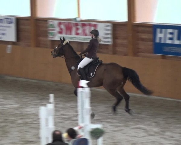 Reitturnier Xanten 2018