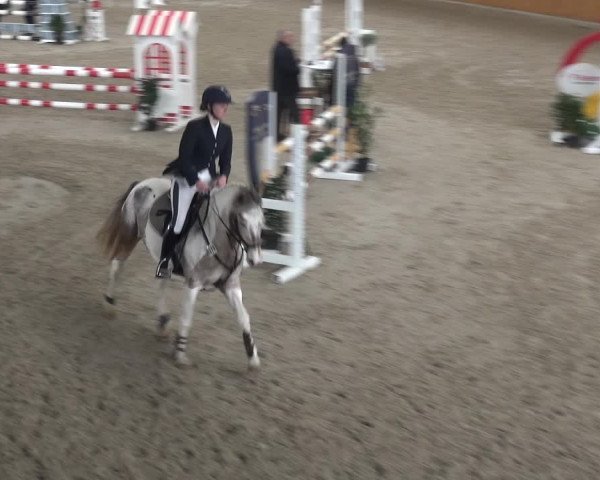 Reitturnier Xanten 2018