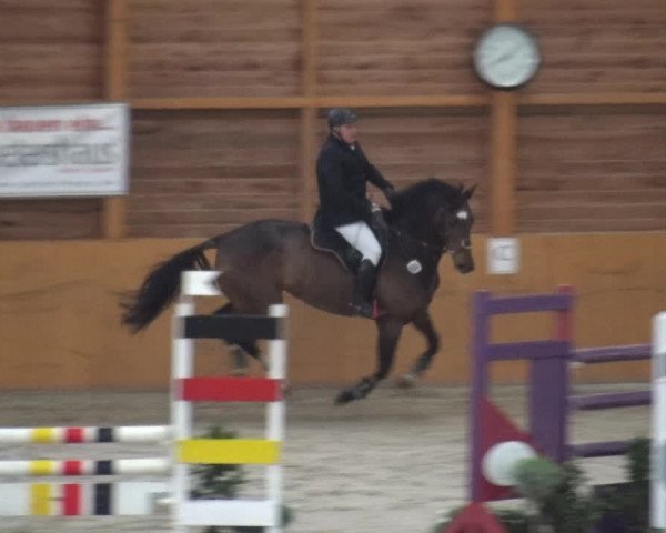 Reitturnier Xanten 2018