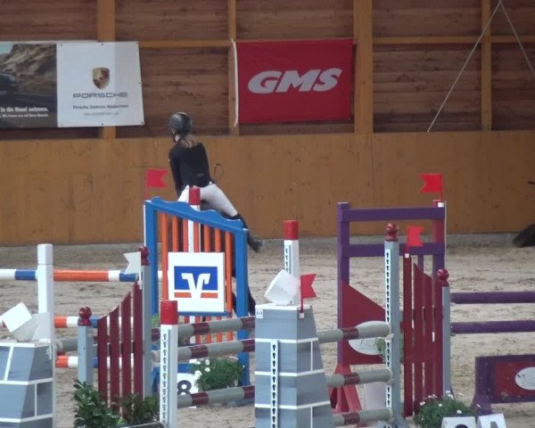 Reitturnier Xanten 2018