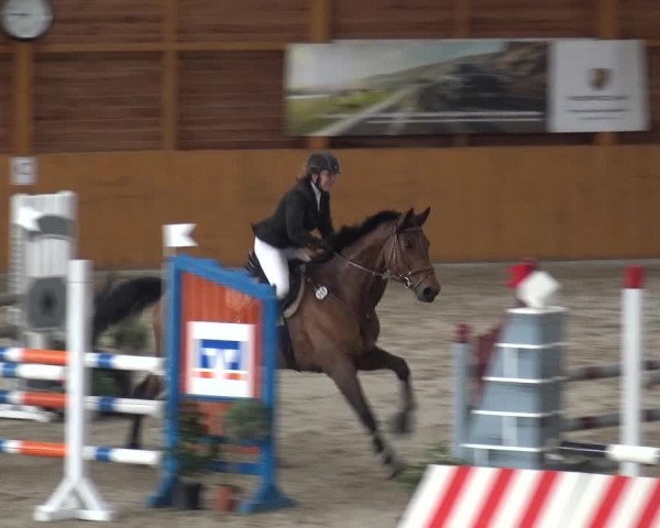Reitturnier Xanten 2018