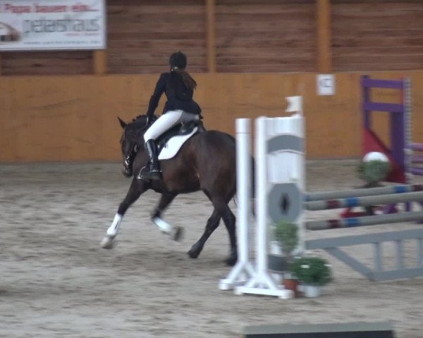 Reitturnier Xanten 2018